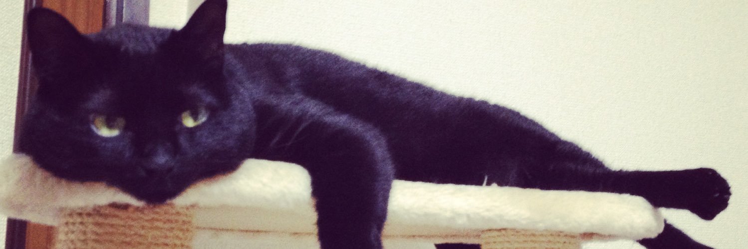 _goofycat_'s profile banner image