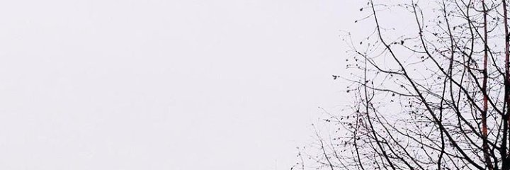 iJOELINN's profile banner image