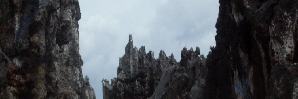RethesaLimaco's profile banner image