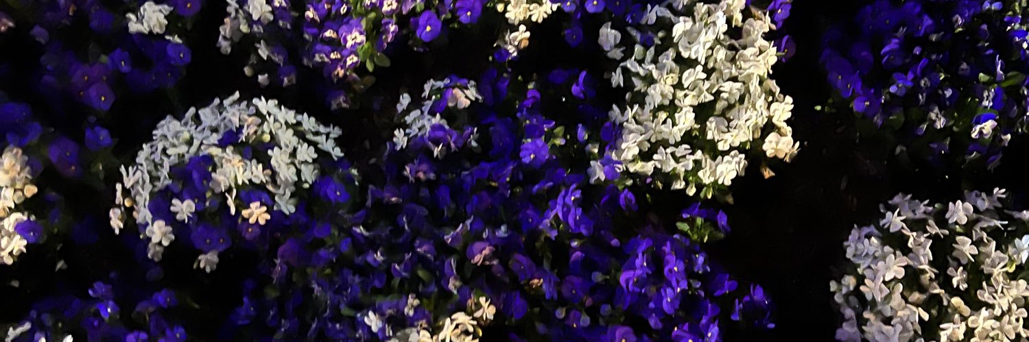 👑 🅳🅾🅽🅾🆅🅰🅽 👑 banner