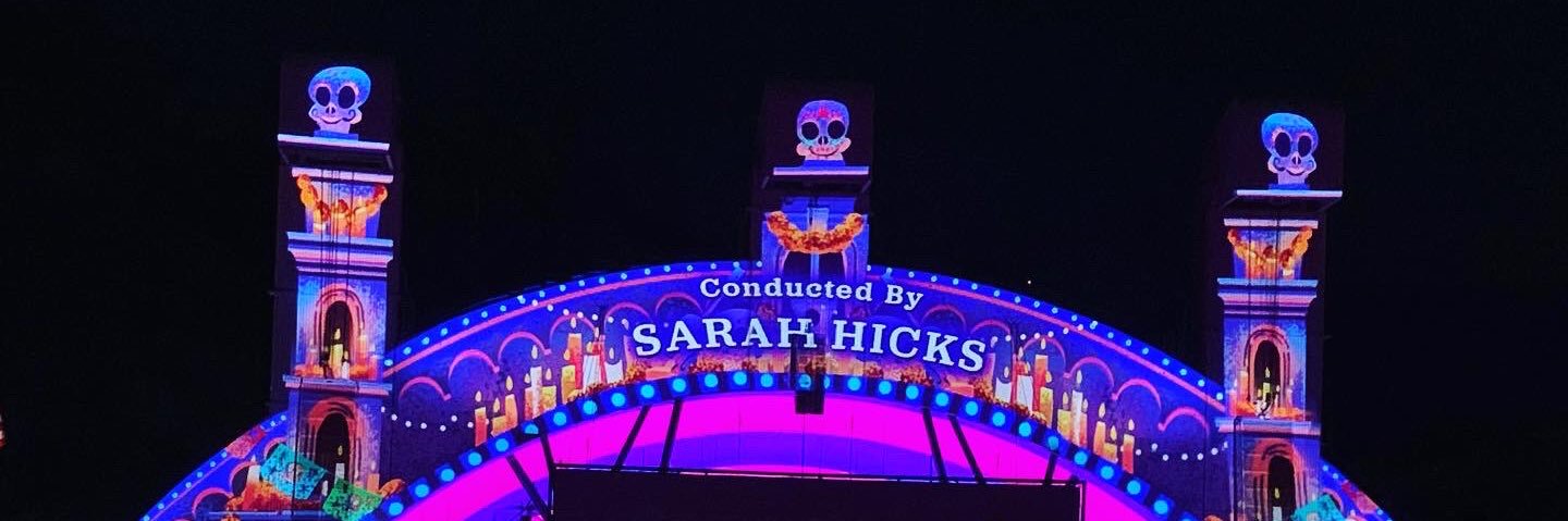 Sarah Hicks banner