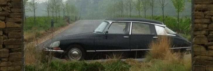 Lorna Simpson banner