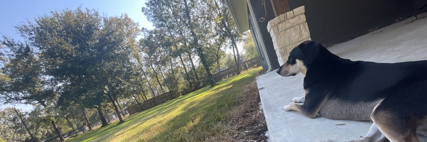 elyset_9's profile banner image
