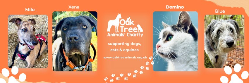 Oak Tree Animals' Charity banner