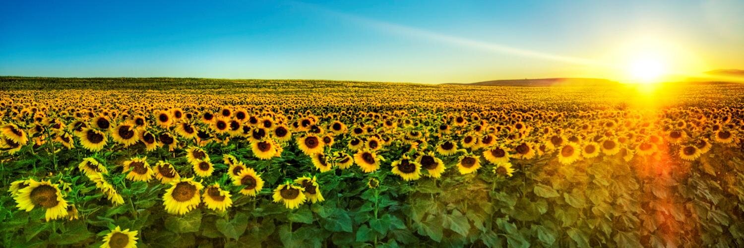 lmoleo74's profile banner image