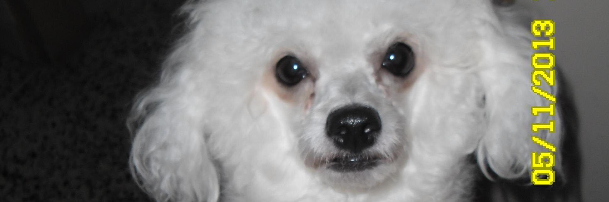 Marbe_ld's profile banner image