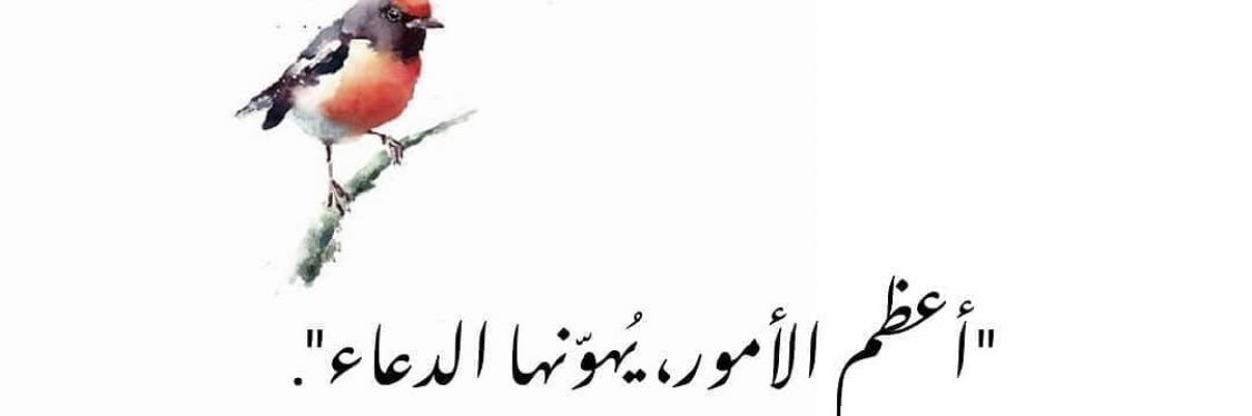 Doaa_Hisham's profile banner image