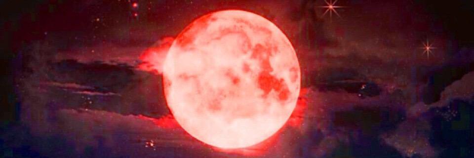 LLuoO's profile banner image