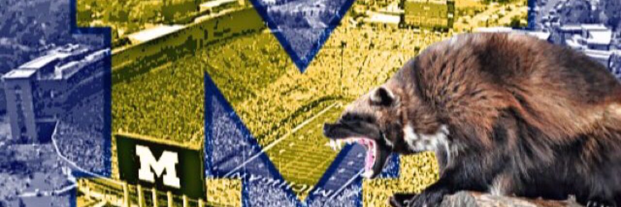 Ⓜ️ banner