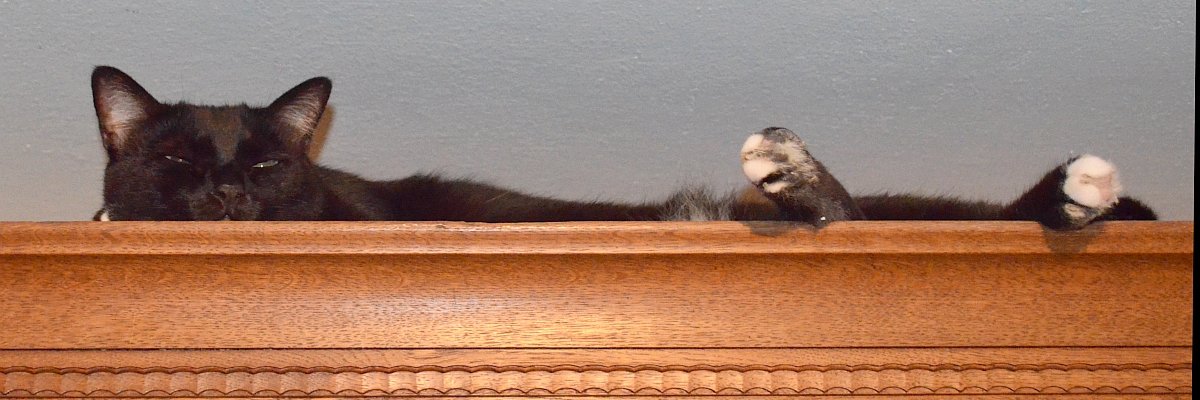 OliverKlimek's profile banner image