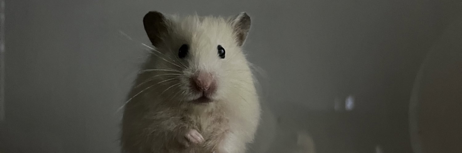sheldonatory's profile banner image