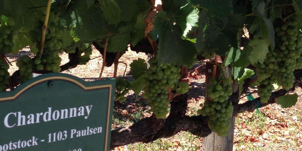 KVH_Wine's profile banner image