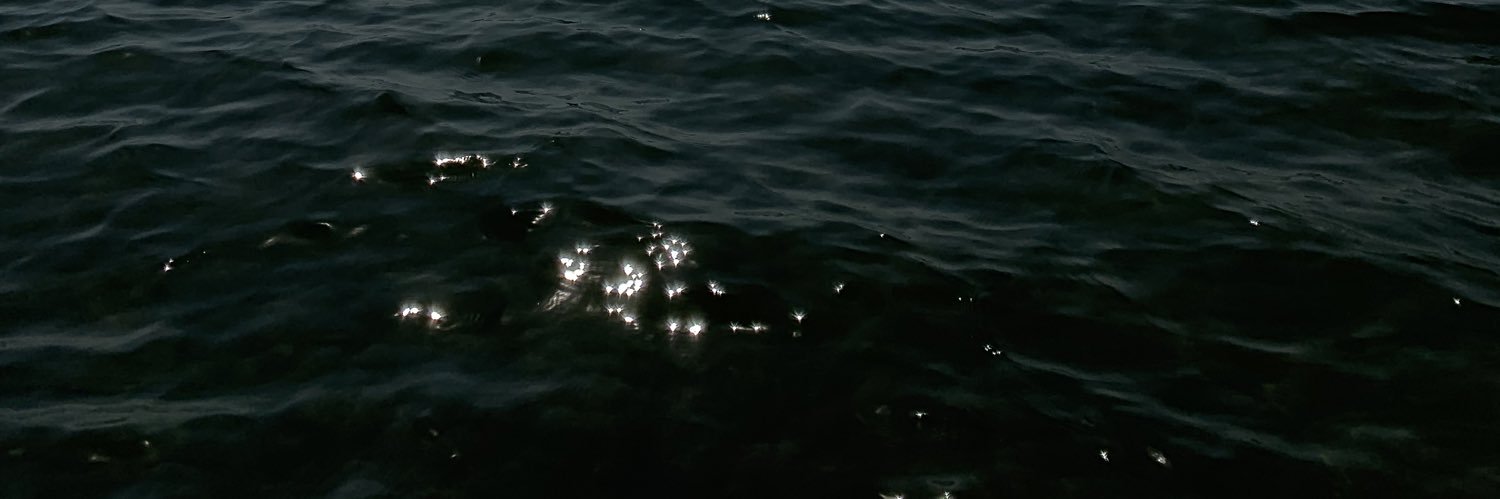chnxchn's profile banner image