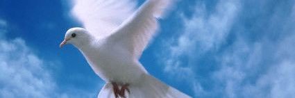 HindBannan's profile banner image
