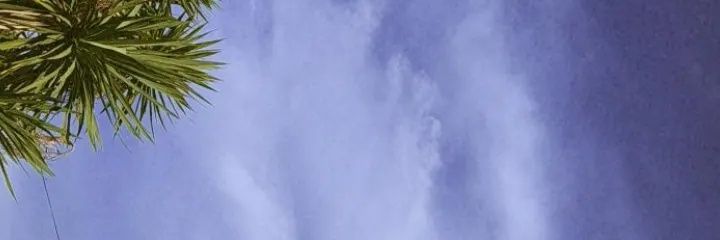 BenitezBarbaraa's profile banner image