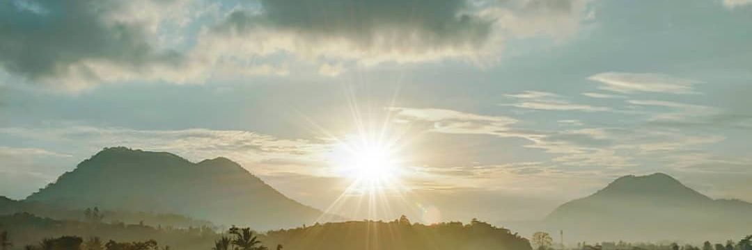C M banner