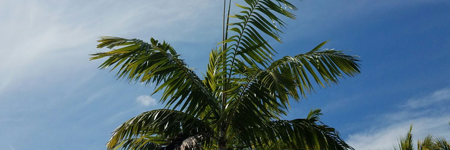 SFR_76's profile banner image