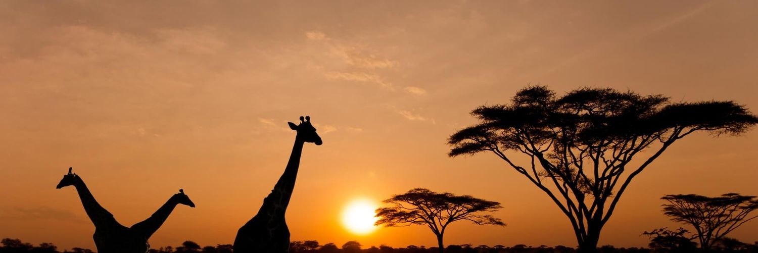 Fundi wa mitambo banner