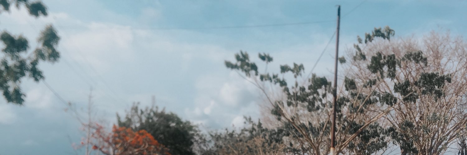 Evhikaa's profile banner image