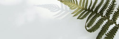 PatLovesXMMEric's profile banner image