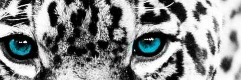 joej_3's profile banner image