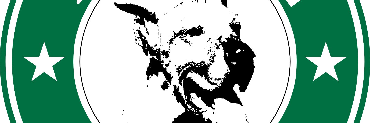 NoKillUnited's profile banner image
