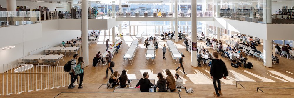 Copenhagen International School banner