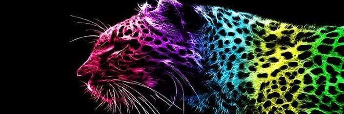 CeciMendOco's profile banner image