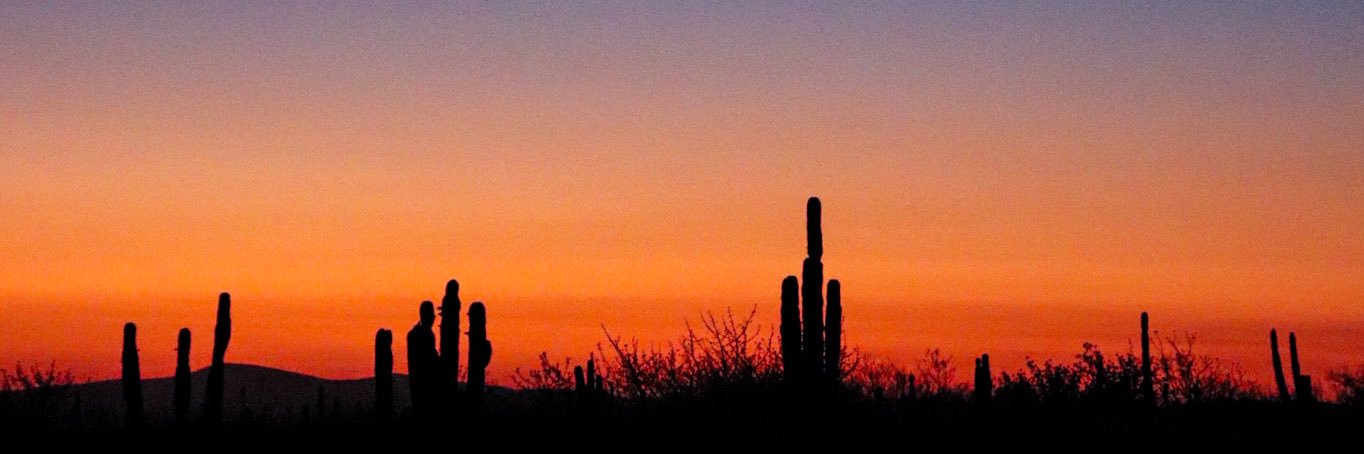 Laura Cázarez banner