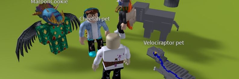 viento del bosque banner