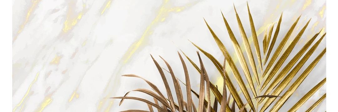 BarbaraLobo94's profile banner image