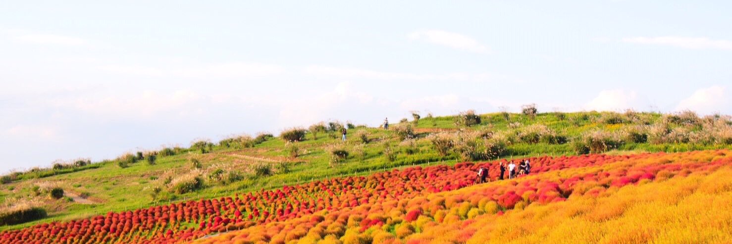 tskymchm's profile banner image