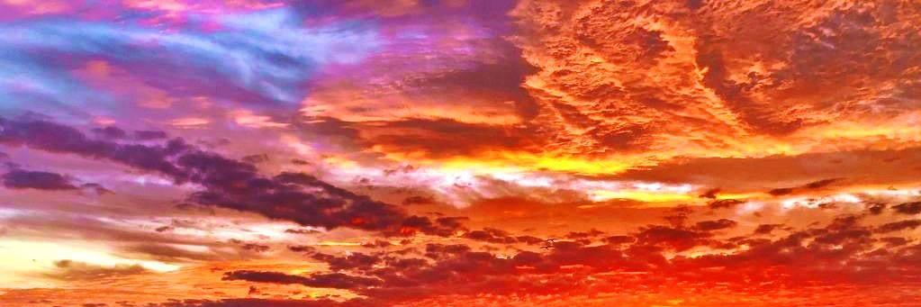 lizwilde's profile banner image