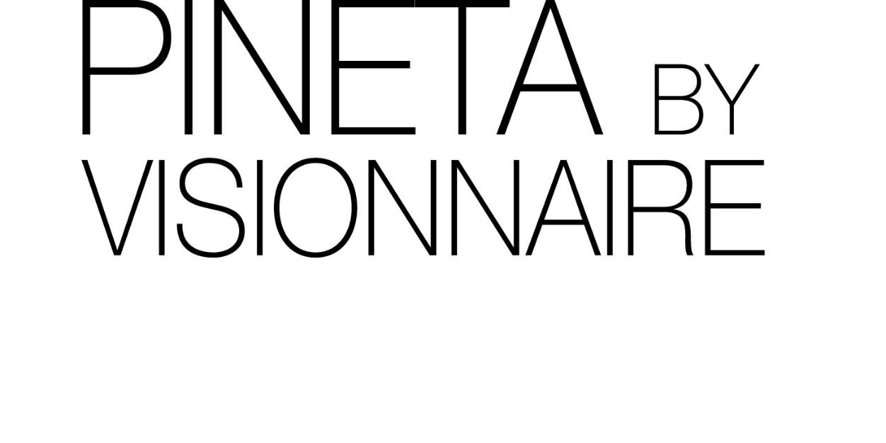 Pinetadisco's profile banner image