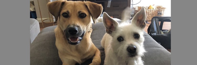 Connor Dawson banner