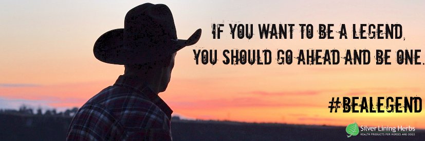 Silver Lining Herbs banner