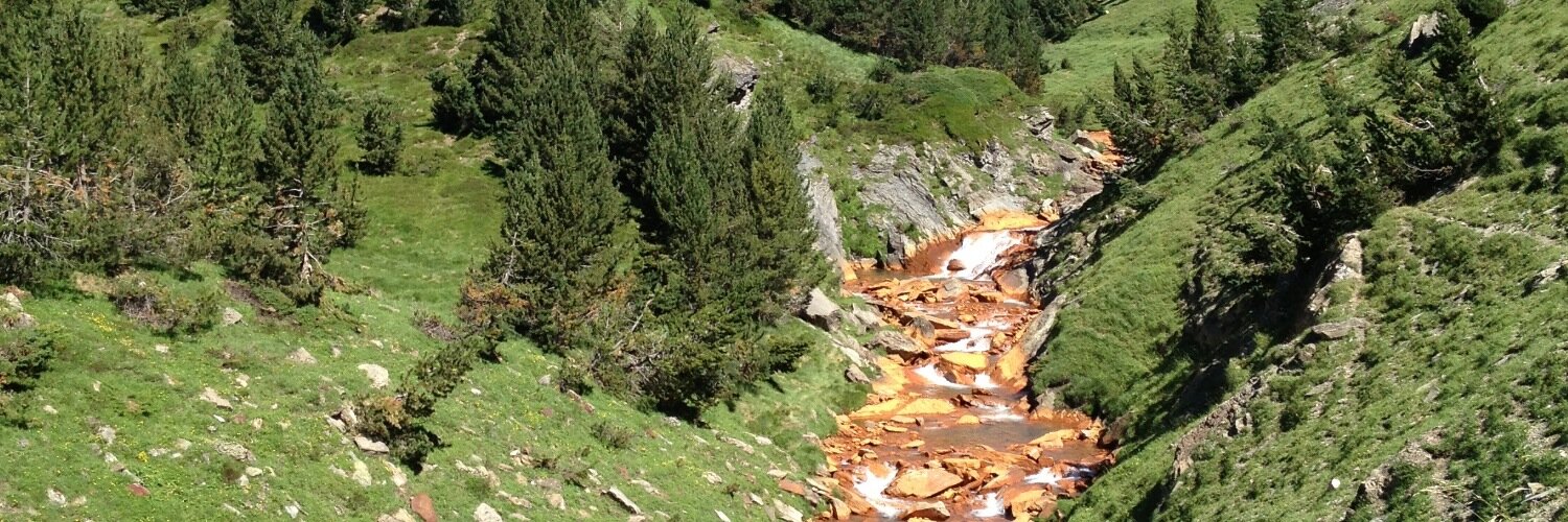 marcel prunera banner