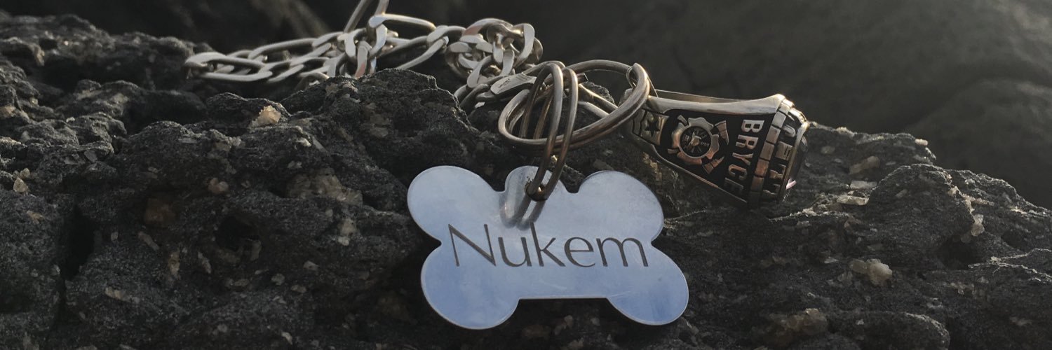 Nukemhusky's profile banner image