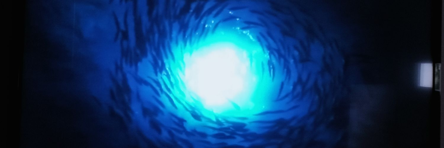 macaju03's profile banner image
