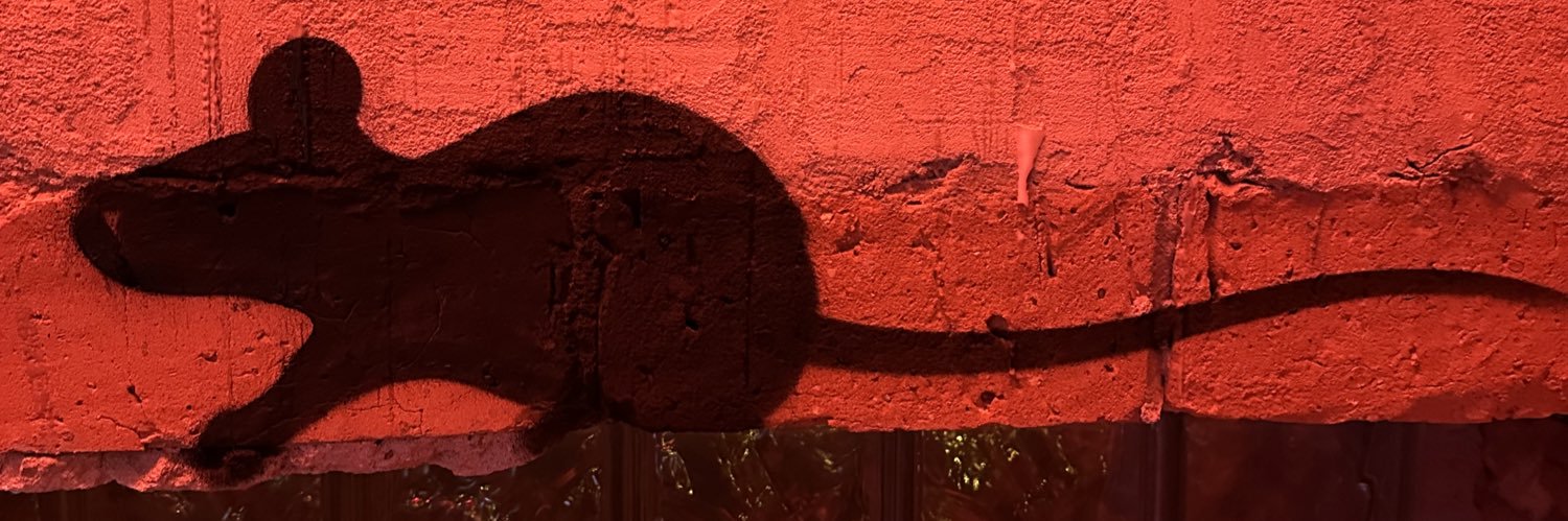 MiryamCebra's profile banner image