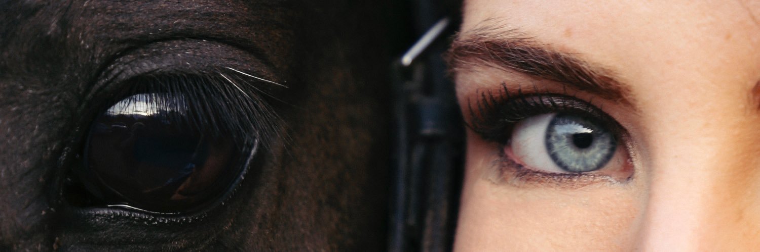 JessieAnnCarter's profile banner image