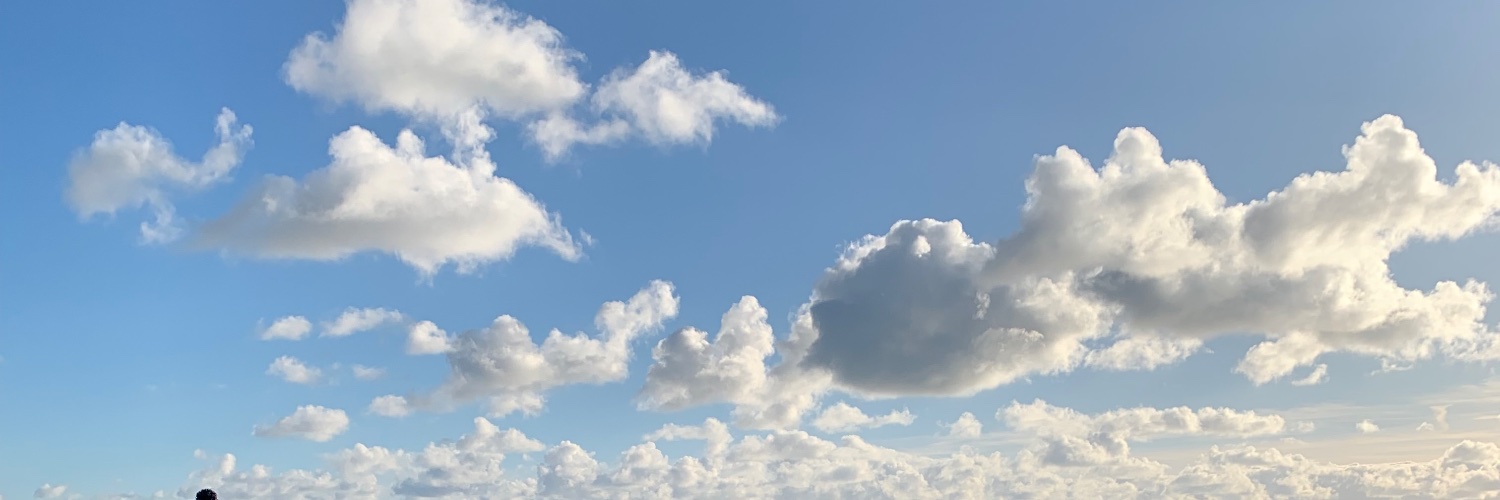 rosiebyname's profile banner image