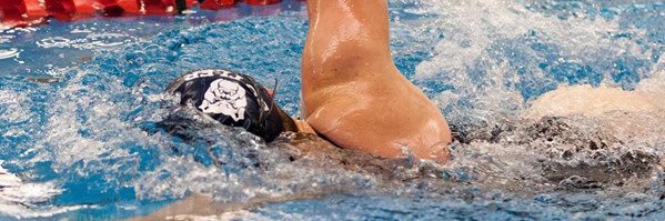 Butler Swimming banner