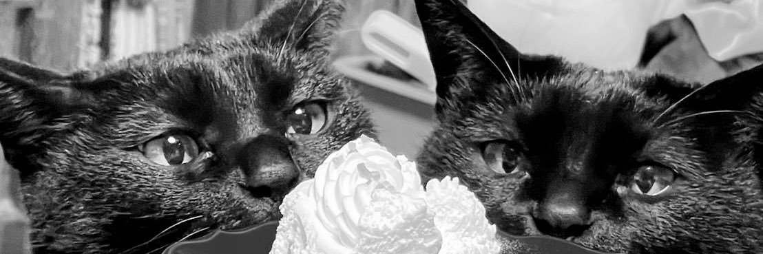 jyolzo's profile banner image
