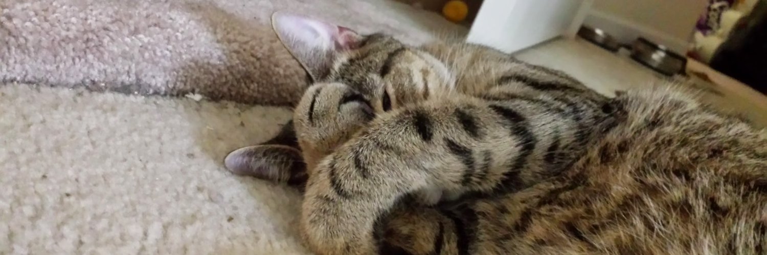 NeurodiverseCat's profile banner image