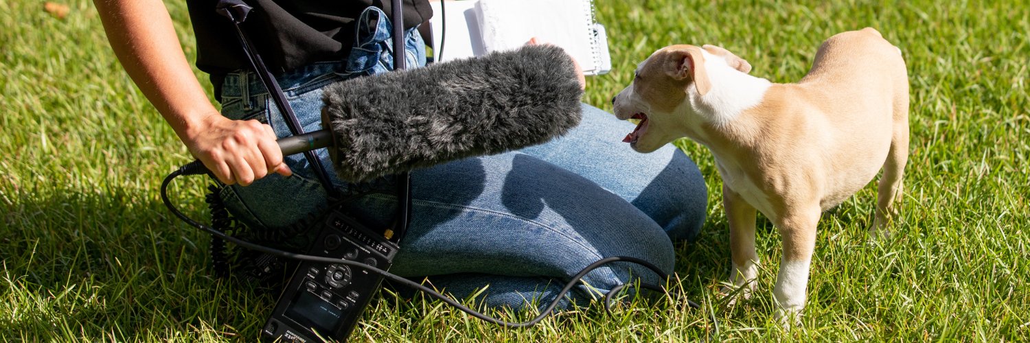 Laura Pellicer ✏️📰 banner