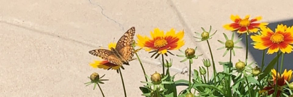 danielle5833's profile banner image