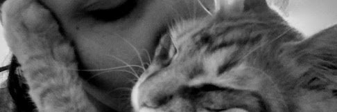 MicaAgro's profile banner image