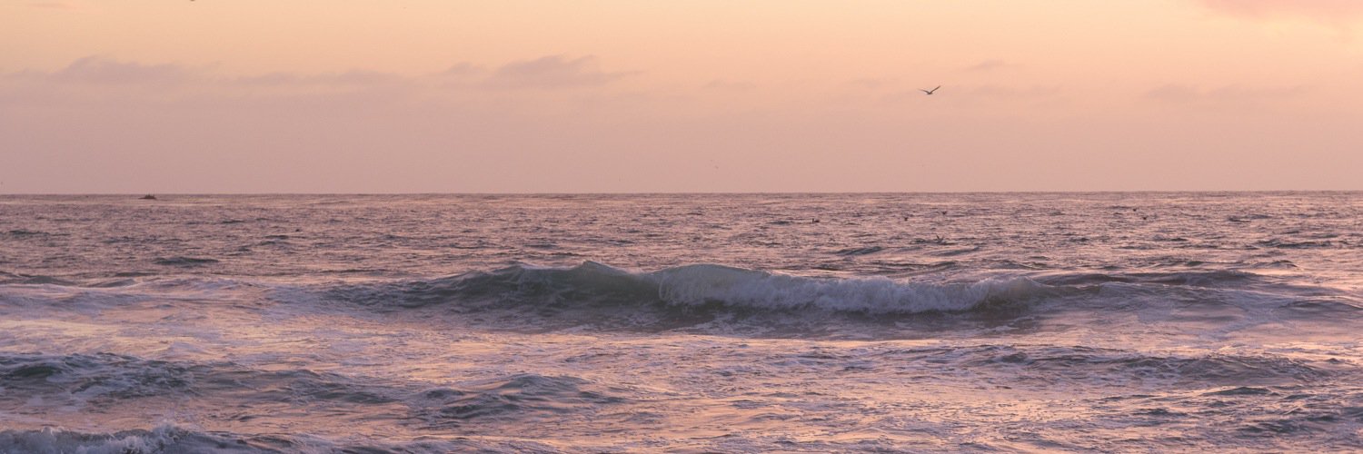 ddemong's profile banner image