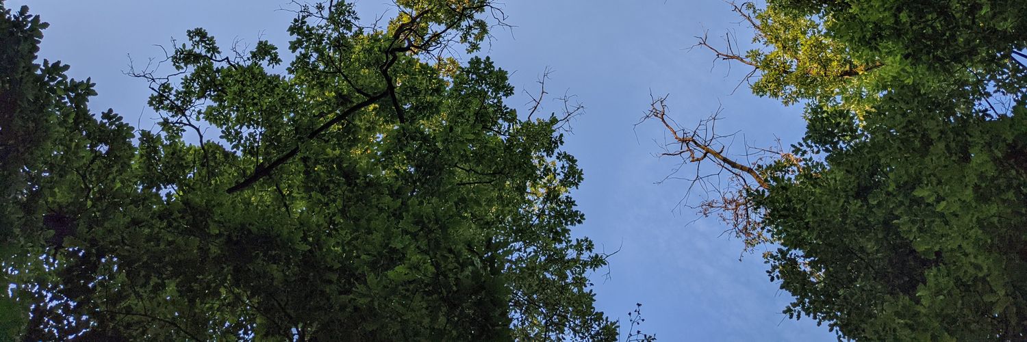 VPatrny's profile banner image